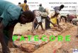 P A T E C O R E - wocatpedia.net...Das Zentral - Plateau in Burkina Faso 50% der ländlichen Bevölkerung lebt auf 25% der nationalen Gesamtfläche große Nachfrage der Bevölkerung