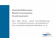 Ausbildungs- Rahmenplan (Lehrplan)...IV gedruckt: 06.04.2009 3.1.3.6 Umsetzung der Handlungsanweisung „DLRG Frühdefibrillations-Konzept und Ausbildungsunterlagen / BAGEH / BÄK“