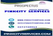 KIOSKBANKING PINKCITYSERVICES New revenue stream from small banking Money transfer Even the existing