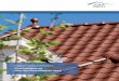 Sozialkassen des Dachdeckerhandwerks Gesch£¤ft sbericht £¼ber das Gesch£¤ft 2019-07-31¢  Gesch£¤ftsbericht