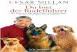 CESAR MILLAN - Weltbild.deCesar Millan gilt als einer der erfolgreichsten Hundetrainer der Welt. Nicht umsonst wird er der »Hundeflüsterer« genannt, weil sein Einfühlungsver-mögen