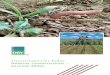Situationsbericht Boden Moderne Landwirtschaft – Gesunde Bödenmedia.repro-mayr.de/12/625812.pdf · 8 1 Lebensgrundlage Boden Böden sind CO 2-Speicher und produzieren Biomasse