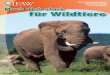 Animal Action Education Alter 8-10 Jahre …...Mach dich stark für Wildtiere 6 IFAW Animal Action Education Lehrermagazin 8-10 Jahre Lerneinheit 2 Der Film (ca. 28 Min)„Mach Dich