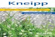 KneippKneipp-Vereins kennen zu lernen. Ideen und Tatkraft bringen die Kneipp-Bewegung voran – helfen Sie mit! Nach Abschluss des offiziellen Teils erfreuen wir uns bei Kaffee und