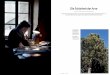 Die Schönheit der Arve - textbueroholz.chText Eva Holz, formforum Schweiz Photos Miriam Künzli Das Engadin im schweizerischen Graubünden ist ein Sehnsuchtsort. Typisch für die