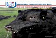 2019 SIRE DIRECTORY - Universal Semen Sales · Connealy Rolling Stone pg 6 $20 $35 Connealy Spur pg 21 $25 $25 Connealy United 1116 $30 $35 Connealy Uptown 098E $20 $35 Crook Mt Windy