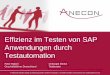 Effizienz im Testen von SAP Anwendungen durch Testautomation · 2020-01-22 · Effizienz im Testen von SAP Anwendungen durch Testautomation Peter Haberl Christoph Menke ... CRM 3.1I