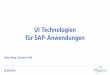 UI Technologien für SAP-Anwendungen · SAP Screen Personas Nachteile: • Systemanforderungen • Kernel 472 Patch Level 328, SAP_BASIS SP03 oder höher, Unicode System • Aufwändige