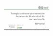 Transglutaminase‐quervernetzte Proteine als Bindemittel ... · Folie 1 Abschluss‐Workshop FNR „Klebstoffe…“ Transglutaminase‐quervernetzte Proteine für HWS (TGProHol)