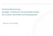 Kritische Betrachtung gängiger orthetischer Versorgungskonzepte · PDF file 2019-02-04 · 13.06.201713.06.2017 Daniel Sabbagh, FIOR & GENTZ GmbH 1111 Sagittal: Bewegung in 2 von