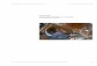 Zerstörungsfreie Untersuchungen am Baugefüge der Hagia Sophia … · 2018-12-07 · Denkmalpflege und Instandsetzung - WS 09/10 und 10/11 LT - Lehrstuhl für Tragwerksplanung -