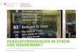 HERAUSFORDERUNGEN IM STROM- UND WÄRMEMARKT · 2019-01-15 · Abgabe auf der Stromproduktion befreien lassen und vermehrt Biogas einsetzen Strommarkt: Die Strommarktöffnung bringt