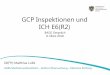 GCP Inspektionen und ICH E6(R2) · GCP ist ein internationaler ethischer und wissenschaftlicher Standard für Planung, Durchführung, Dokumentation und Berichterstattung von klinischen