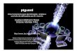 ptguard - Engeng.registro.br/gter17/videos/gts012004-07slides-ctrlp2p.pdf · • Allot NetEnforcer – AudioGalaxy – eDonkey –iMesh – KaZaA – Morpheus • Packeteer PacketShaper