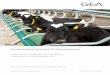 Produkt-Katalog Stalltechnik für Milchviehbetriebe · 2017-10-13 · Der neue vollautomatische Futterwagen GEA Mix-Feeder Pro ist viel mehr als nur ein herkömmliches Fütterungssystem