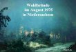 Waldbrände im August 1975 in Niedersachsen · Mai 1976 beim Brand von LUTTERLOH, der noch einmal 740 ha Wald vernichtete, aufgenommen. ... Juli 1978, sowie dem Feld- und Forstordnungsgesetz
