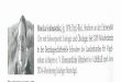 auf zwei verschiedenen Höhenstufen im Oberallgäu Monika ...Monika Schirutschke & Elisabeth K. V. Kalko: Charakterisierung von Nahrungshabitaten der Ringdrossel Turdus tor- 173 quatus