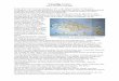 Venedig Italien - Treppenforschungtreppenforschung.de/wp-content/uploads/2015/03/1-Venedig.pdf · übereignen und nach rivus altus bringen. Der Heilige wurde zum Patron der „Serenissima