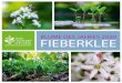 Blume des Jahres 2020 FieBerklee - Loki Schmidt€¦ · 4 Der Fieberklee gehört zur Familie der Fieberkleegewächse (Menyanthaceae) und ist in der Gattung Menyanthes die einzige