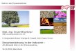 Dipl.-Ing. Franz Bruckner 8... · UBP-consulting GmbH & Co. KG 8. Regionalkonferenz Energie & Umwelt, John Deere Forum Decarbonisierung in der Industrie – Am Beispiel Holz in der