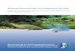 Strukturelle Verbesserungen von Fließgewässern für Fische€¦ · kommen hydro-morphologische Einﬂ üsse wie z. B. die Größe des Einzugsgebietes, das Gefälle, die Gewässerbreite