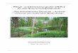 Pflege- und Entwicklungsplan (PEPL) für das ...€¦ · Pflege- und Entwicklungsplan Naturschutzgroßprojekt „Das Schwäbische Donautal – Auwaldverbund von nationaler Bedeutung“