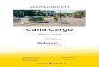Carla Cargo - badenova€¦ · Carla Cargo Trailers integriert und die Ausgabe der Werte unter verschiedensten Bedingungen sowohl im Hand-, als auch im Fahrradanhängerbetrieb aufgezeichnet