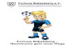 Fortuna Babelsberg e.V. · Fortuna-Nachwuchskonzept - 3 - Sportvereine tragen eine hohe soziale Verantwortung. Es ist in der heutigen Zeit sehr wichtig, den jungen Menschen einen