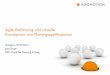 Agile Einführung und visuelle Konzeption von ...€¦ · Agile Einführung und visuelle Konzeption von Planungsapplikationen Stuttgart, 07.07.2015 Jörg Singer SAP Cloud for Planning