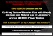 Co-firing Tests of Bosnian Coal with Woody Biomass and ...task32.ieabioenergy.com/wp-content/uploads/2017/03/Kazagic.pdf · Fuels Tuzla TPP Symbol % wt % thermal Dubrave/Šikulje