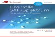 Die SAP-Spezialisten für Ihre Logistik Das volle SAP-Spektrum · • EWM-RAKETE® on SAP HANA® in der Cloud • TM-RAKETE® on SAP HANA® in der Cloud • Mobile Lösungen mit SAP