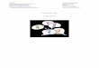 FHNW Dossier thématique Fachdidaktisch Französisch 1.3. … · 2013-12-11 · c) La question avec inversion : dans le contexte de la pyramide de la politesse et l’introduction