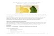 Eine Blitzerfrischung für heisse Sommertage – Zitronen ...€¦ · ©Vreni Brumm, Bildung und Beratung in der Gesundheitsförderung, 8703 Erlenbach / ! 1 Eine Blitzerfrischung