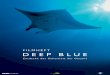 Deep Blue - Entdecke das Geheimnis der Ozeane · 2019-02-19 · jedes Tier ein Recht auf Leben hat – selbst der junge Orca, der so grausam das Jagen übt. FRAGEN DER MORAL Des einen
