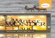 DM Holzrahmen-Winter-Wonderland 0718 · 46 311 000 Holzschrift "Winterwonderland" 1 Stück 42 000 504 Jutekordel auf Holzkarte 1,50 Meter 23 097 000 3D-Effekt-Folie Sternchen 1/3