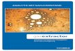 ANALYTiK MIT SACHVERSTAND - Startseite · 2016-12-21 · Gaskomponentenidentifizierung und kann einfach und sicher an herkömmliche Gaschromatographen ange- ... • Extraktion von