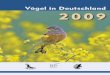 Vögel in Deutschland 2009 - BfN · in „Vögel in Deutschland 2008“ anlässlich des Erscheinens der aktualisierten „Roten Liste der Brut-vögel Deutschlands“ veröffentlicht