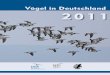 Vögel in Deutschland 2011 · 2019-12-18 · 4. Das Wichtigste in Kürze. Deutschland: Drehkreuz des internationalen Wasservogelzuges • Auf unseren Gewässern rasten während des