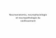 Neuroanatomie, neurophysiologie et neuropathologie du …medecine.ups-tlse.fr/du_diu/2016/04_11/Vieillissement_DU.pdf · La théorie évolutionniste du vieillissement • La maladie