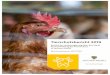 Tierschutzbericht 2019 des Landes Sachsen-Anhalt · 2019-12-05 · tion des Tierschutzes in Sachsen-Anhalt in den Händen. Dieser Tierschutzbericht umfasst den Zeitraum 2017 und 2018