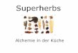 Superherbs · CHAGA „The king of medicinal mushrooms“ ist ein Qi, Yin Jing Tonikum und Shen Tonikum höchsten Wert an antioxidativer Aktivität (bis zu 52.000!) unter allen Heilpilzen