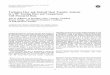 Turbulent Flow and Endwall Heat Transfer Analysis in a 90 … · 2005-10-31 · the vorticity, turbulent kinetic energy, and turbulent shear stress with the endwall heat transfer