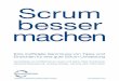 Scrum besser machen - Scrum Sense | Leaders in Facilitating Lasting Agile …scrumsense.com/wp-content/uploads/2012/03/ScrumBesserMa... · 2013-02-03 · Das Agile Manifest und seine
