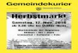 Nr. 34/3.11. 2016 Herbstmarkt · 9 Werkbetriebe Uitikon 9 11 Mitteilung aus dem Gemeindehaus 13 Gemeinde- und Schulbibliothek 14 Einladung des Blockflöten-Orchesters Zürichsee zum