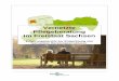 Vernetzte Pflegeberatung im Freistaat Sachsen · 2017-07-03 · Seite 2 von 60 Vernetzte Pflegeberatung im Freistaat Sachsen Erfahrungsbericht zur Entwicklung von vernetzten Beratungsstrukturen