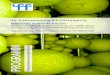 19. Internationale IFF-Fachtagung Beton(t) Zukunft bauen … · 2018-09-03 · 13. und 14. November 2012 in Weimar 19. Internationale IFF-Fachtagung Beton(t) Zukunft bauen Angewandte