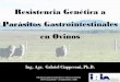 Resistencia Genética a Parásitos Gastrointestinales en Ovinos · Resistencia Genética a Parásitos Gastrointestinales en Ovinos Ing. Agr. Gabriel Ciappesoni, Ph.D. Parasitosis