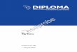 DIPLOMA · 2020-05-28 · Diploma Hochschule University of Applied Sciences Am Hegeberg 2 37242 Bad Sooden-Allendorf Tel. 05652/587770, Fax 05652/5877729 Leseprobe. Big Data i. d