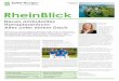 RheinBlick - Spital Thurgau AG...– manuelle Triggerpunkt-Therapie und Dry Needling – osteopathische Techniken – Behandlung nach Bobath – manuelle Lymphdrainage, Kompressionsbandage