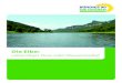 Lebendiger Fluss oder Wasserstraße?...Euro wurden in den letzten zehn Jahren für den technischen Hochwasserschutz ausgegeben, vor allem um die Deiche zu erhöhen. So sollten die